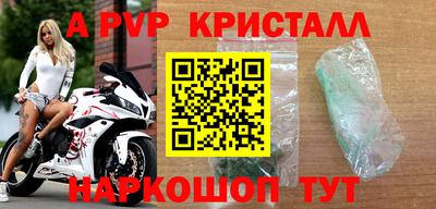 гидра Ставрополь