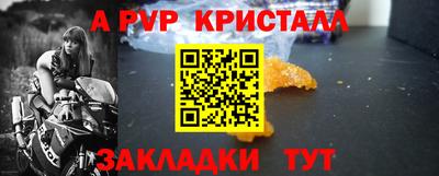 гидра Ставрополь