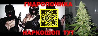 гидра Ставрополь