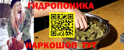 гидра Ставрополь