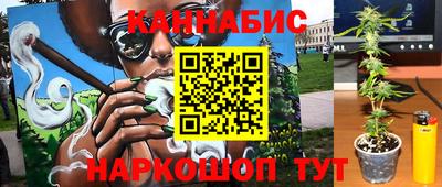 гидра Ставрополь
