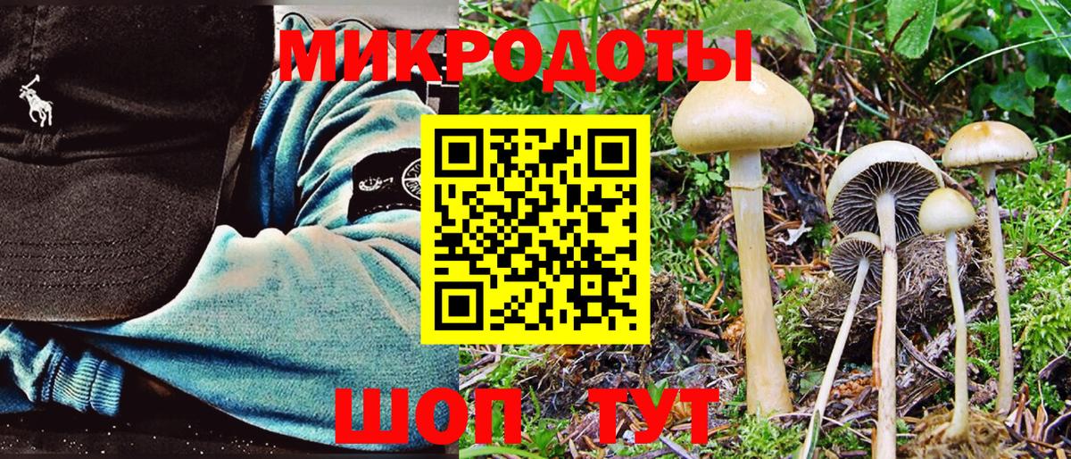 Псилоцибиновые грибы Psilocybine cubensis  Вход с VPN  Соликамск 